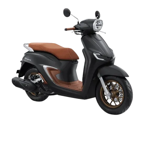 Stylo CBS Plus